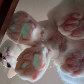 moroのハンドメイド