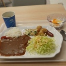 膜が張るタイプです。