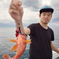 7月12日 夕マズメSLJ〜夜イカ釣り