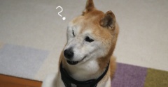 その座り方、なんか変…