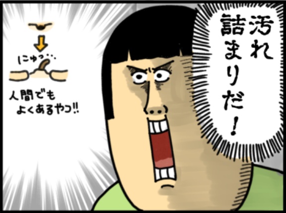 うっとおしい飼い主でごめんね