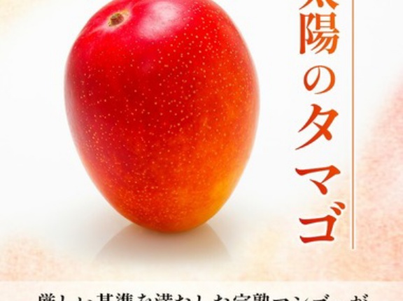 ふるさと納税で太陽のタマゴ注文したったｗｗｗｗｗ