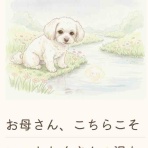 月明かりの部屋