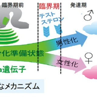なんJ政治ネタまとめ