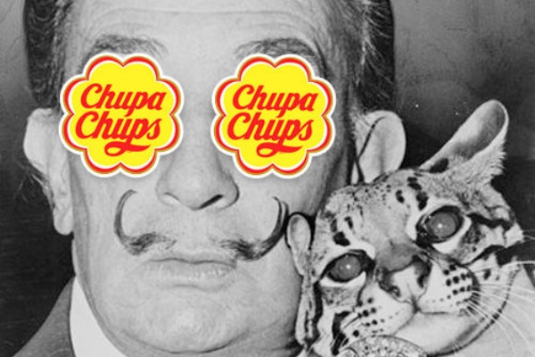 眠り猫の白昼夢