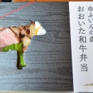 ゆふいんの森の車窓から　　おおいた和牛弁当