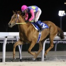 【4/22メインレースレポート】重賞馬⑫ワンダーウーマン（牝4＝石本孝博厩舎）が快速示す！ レンゲソウ特別