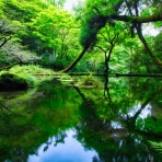 ”かずタビ”