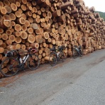 うっとこの自転車