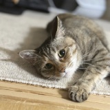 真夜中のハピネス