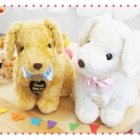 犬のビズー は大人気！！