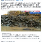 約12万500本の廃タイヤを処理したら さらに地中から約7万5000本…　追加の処理費用で“億単位の負担”か　新潟・柏崎市