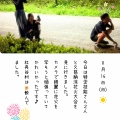夏休みの思い出