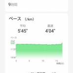 城東ドンキーズ No.22      【JD No.22】