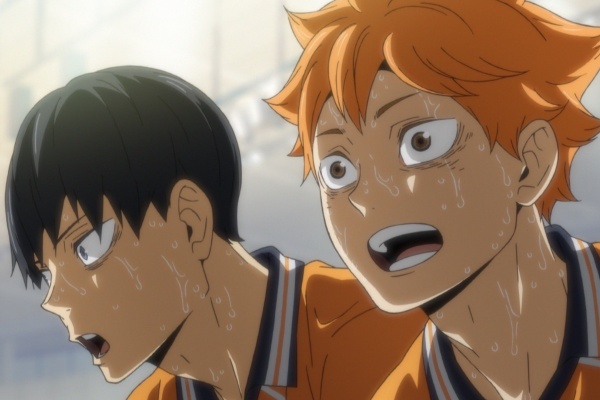 アキブラ ハイキュー To The Top