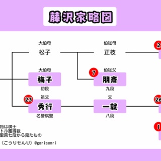 ひと目の囲碁棋士データ