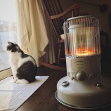 『思い出の小箱に保存すべき大切な偶然の必然』の画像