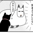 猫の名はポル㉚