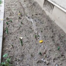 ◆プール◆在宅リフレッシュ