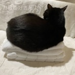 主婦も歩けばアートに出会う