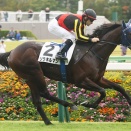 【競馬予想】[1]第66回京成杯(GⅢ) /2026