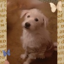 だらだらのピアノ楽しい。仕上げなくていい