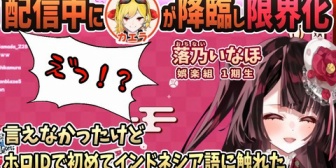 【ホロID】日本からインドネシア向けに活動する落乃いなほの配信にカエラが降臨し、限界化させる