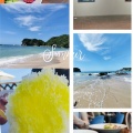 夏の日々の事
