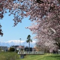 十勝川河川敷　【帯広市】
