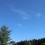 のんびり　のんきに　のうてんき