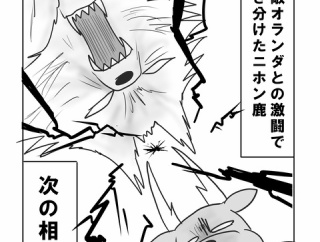 ニホン鹿、必勝のチュニジア戦!!