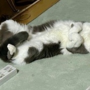 映画「ほどなく、お別れです」（舞台挨拶生中継）を観てきました