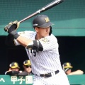 【朗報】阪神・立石、今日の試合でレフトで一軍スタメンデビュー！藤川監督が明言