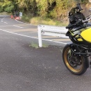 今朝のお山は22℃！