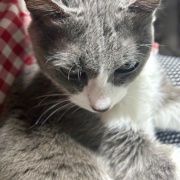 大きな地震でしたが、無事です。