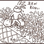 田舎暮らしのこたすぎさんとキィちゃん