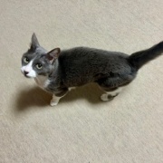 ドラマ「ザ・ロイヤルファミリー」を見終えて