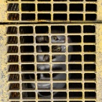 猫写真家・沖 昌之のブログ　野良ねこちゃんねる。　