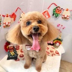 ゆうなぎ動物病院