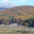 『信濃の秋』の画像