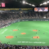 『誰も喜ばない球場の改修』の画像