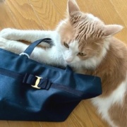 メルちゃん、バッグを持ってお出かけですか？