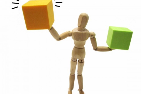 家族でバイリンガルへの道 バイリンガル一家を目指して 独り英会話