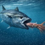  釣果で証明する釣りの理論 ── 私が思うところ。