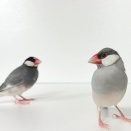 ジルが彼女について語ります