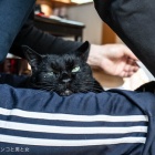livedoor
