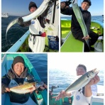 新安浦港・長谷川丸釣果