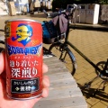 盗難自転車とど根性カマキリ!!