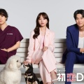 TBS ƥ ˥ɥ ֽ DOGs2025/6/30ʷ7/2ʿ˿ëȥ罸