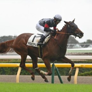 ☆うまなみ・競馬にゅーす速報